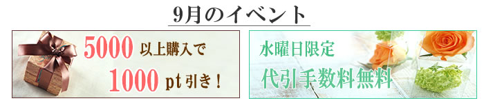 9月イベント ラスト