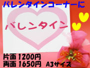 �ѥͥ빩˼