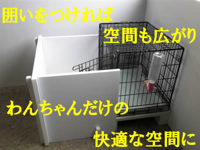 カンパレ